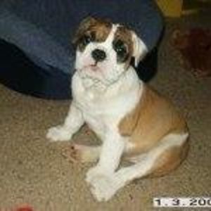 Meet your Posher, Marleigh